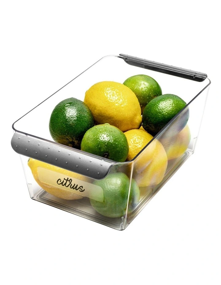 Madesmart Short Deep Bin 25.5 X 15.2 X 10.6cm - Image 3